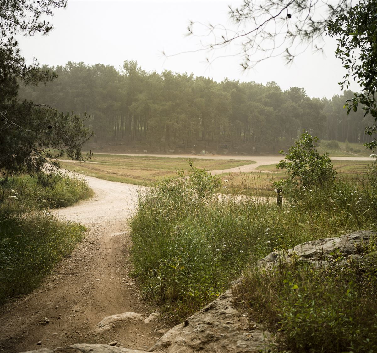 Scenic walking trail with sitting and rest areas on the hillside leading to a fresh water spring, terraces, olive and acacia trees, and the ruins of a historic village
